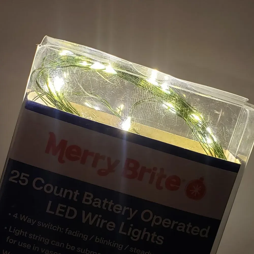 Merry Brite 25 ct Battery Operated Warm White LED Green Wire Fairy Lights 8 feet